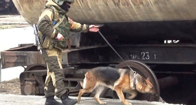 A law enforcer. Photo http://nac.gov.ru/