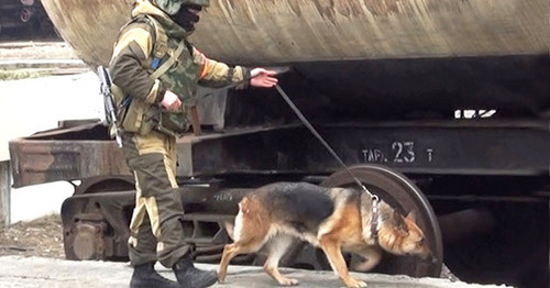 A law enforcer. Photo http://nac.gov.ru/
