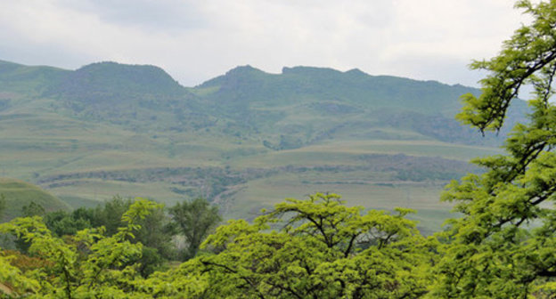 A mountain forest zone. Dagestan, May 15, 2015. Photo by Magomed Magomedov for the "Caucasian Knot"