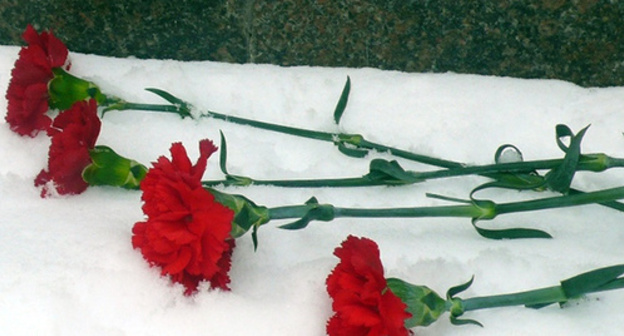 Funeral carnations. Photo: http://www.vstu.ru/news/2015/01/27/aktsiya-gvozdiki-na-snegu.html?clear_theme=1 Funeral carnations. Photo: http://www.vstu.ru/news/2015/01/27/aktsiya-gvozdiki-na-snegu.html?clear_theme=1