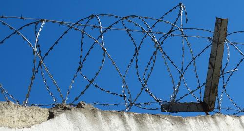 Spiral razor wire. Photo by Nina Tumanova for the Caucasian Knot