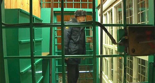 A colony. Screenshot of the video https://www.youtube.com/watch?v=uP0zsFC9bxU A colony. Screenshot of the video https://www.youtube.com/watch?v=uP0zsFC9bxU