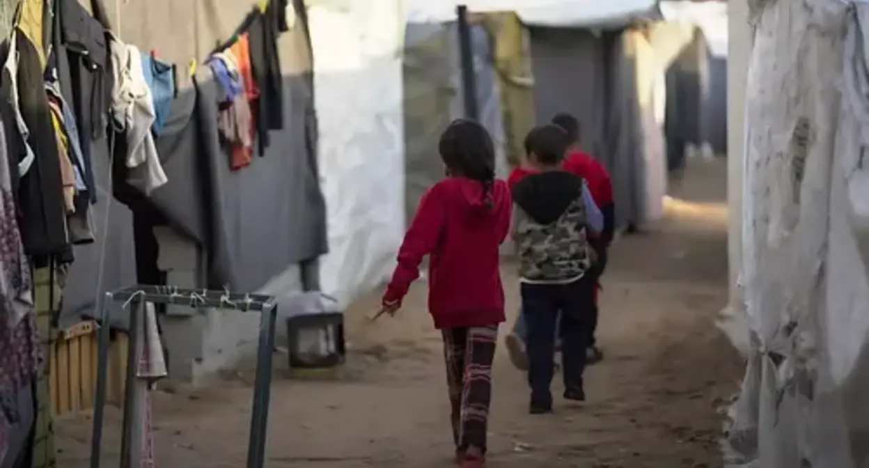 Palestine. Photo: World Health Organization Palestine. Photo: World Health Organization