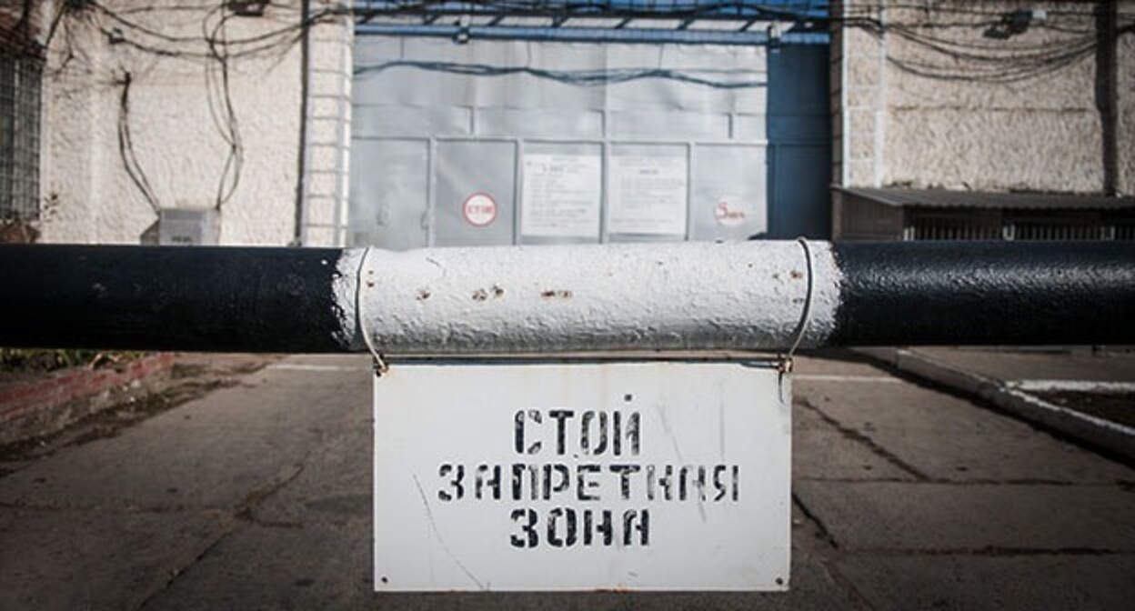 A colony. Photo: Yelena Sineok, Yuga.ru