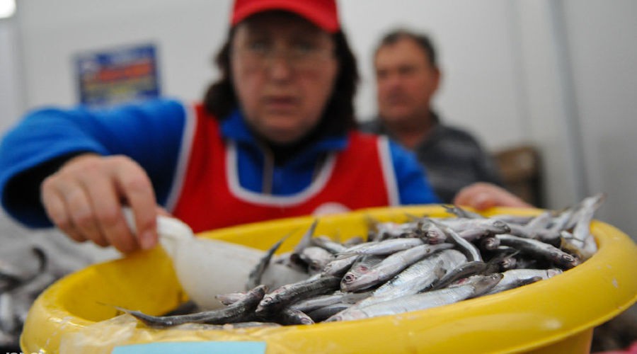 Sale of Black Sea fish: photo by Elena Sineok, the "Yuga.ru" outlet Sale of Black Sea fish: photo by Elena Sineok, the "Yuga.ru" outlet