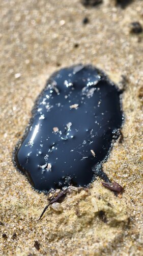 Liquid fuel oil on the sand on the beach of Anapa on June 17, 2025. Screenshot of the post in the "Makovozovs" Telegram channel https://t.me/makovozovy/38686