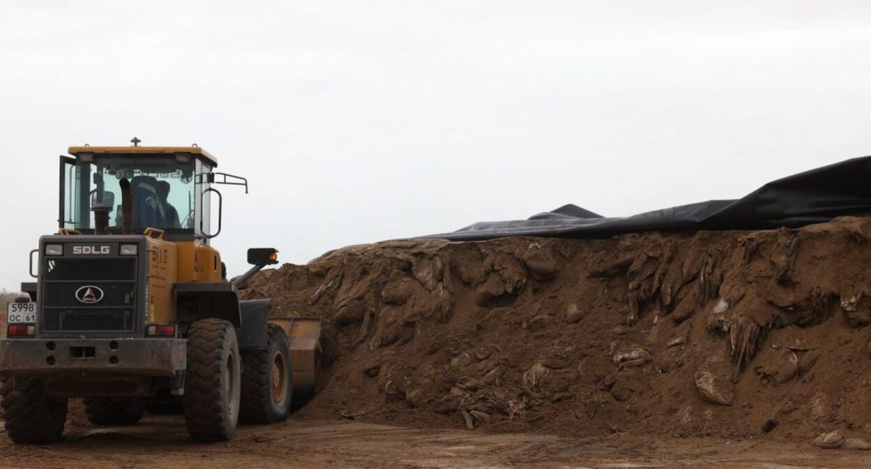 Landfill in Semikarakorsk district. Photo: https://www.donland.ru/