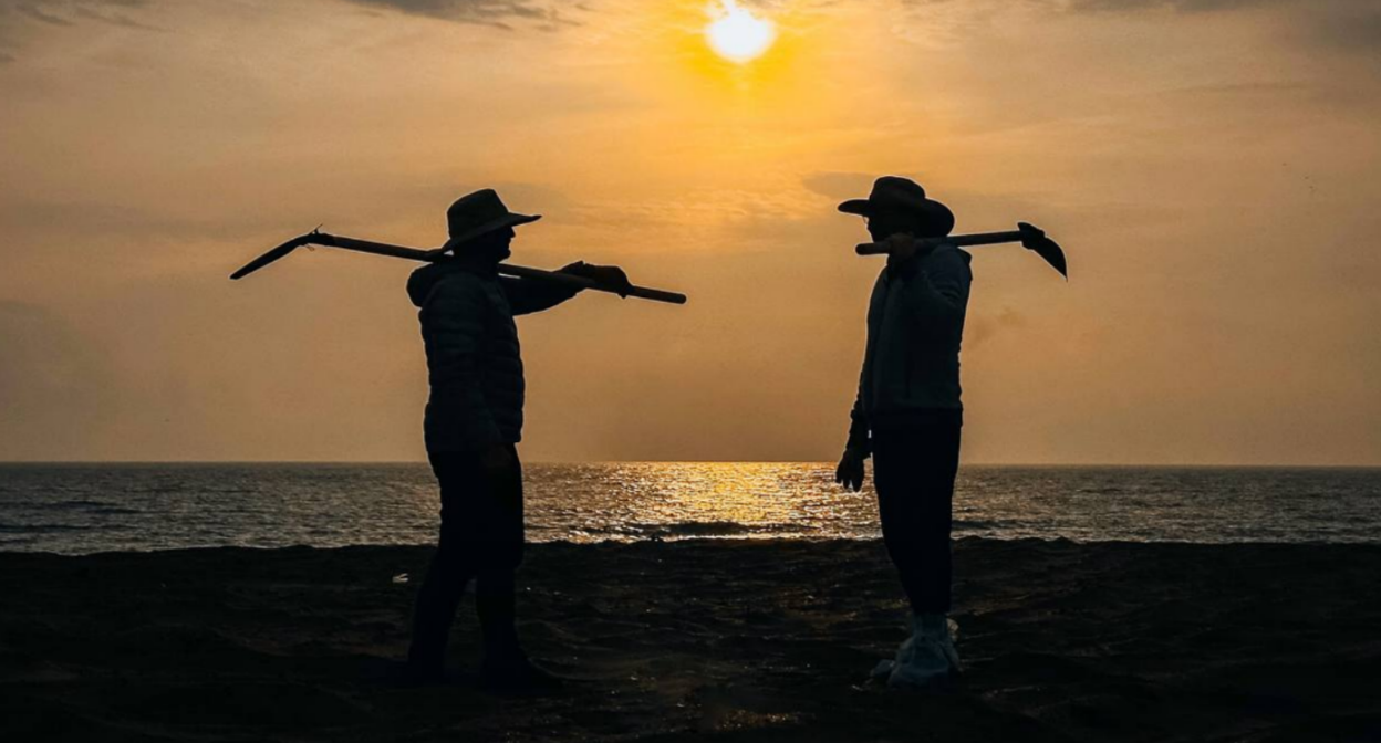 Volunteers on the seashore. Screenshot of a photo from the "Network, Sieve, Shovel" headquarters from November 26, 2025, https://t.me/setisitolopata/2017