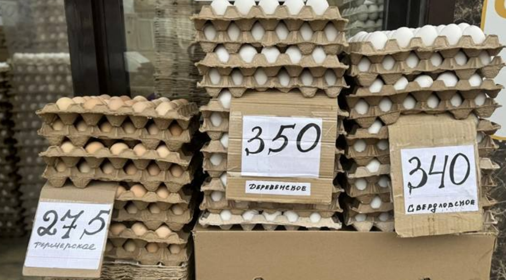 Egg prices in Makhachkala. Screenshot from the Dagestan government's Telegram channel, March 17, 2026, https://t.me/pravitelstvord/36072.