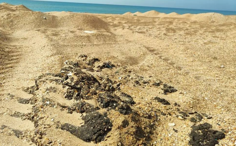 Fuel oil spills on the Bugayskaya Spit. Screenshot from the "SSL Volunteers" Telegram channel, March 18, 2026, https://t.me/setisitolopata/2726?single