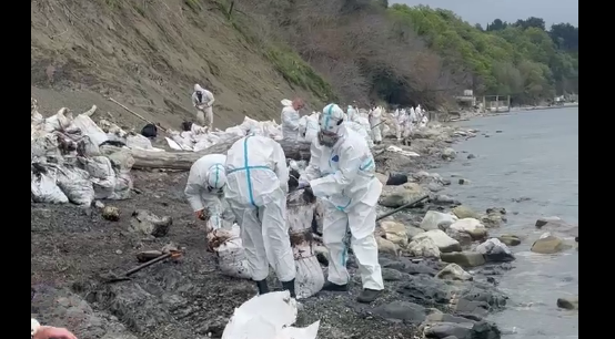 Volunteers clean the beach in Tyumen. Still from Roman Pukalov's Telegram channel, May 1, 2026, https://t.me/Roman_eco/1646