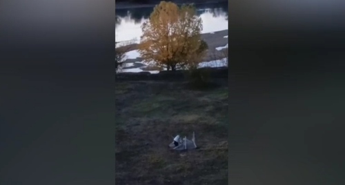 Video still from the Telegram channel "Dub Khranitel YUMR" https://t.me/dub_UMR/1282