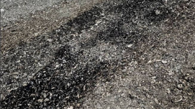Pollution on Primorsky Beach in Tuapse. Screenshot from the Telegram channel "My Tuapse" from May 7, 2026, https://t.me/my_tuapse/35084