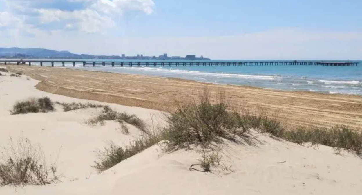 The beach in Anapa after filling. Screenshot from a photo by "SSL Volunteers" from May 17, 2026, https://t.me/setisitolopata/2957.