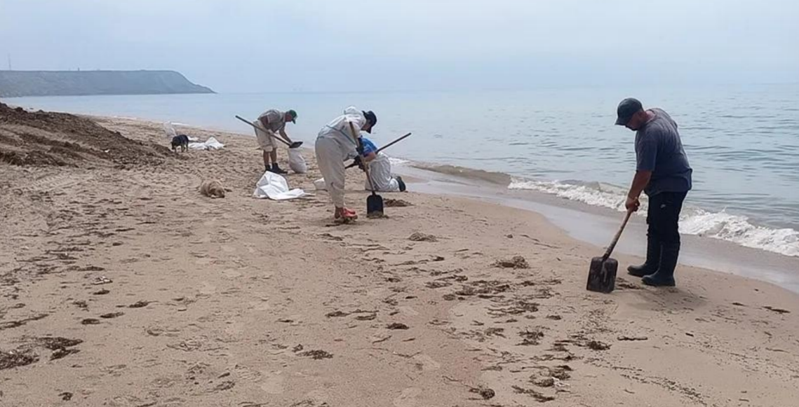 Cleaning up a fresh oil spill on the beach in the village of Volna. Screenshot from the "Dolphins" headquarters photo from May 23, 2026, https://t.me/shtab_delfin/2745. Cleaning up a fresh oil spill on the beach in the village of Volna. Screenshot from the "Dolphins" headquarters photo from May 23, 2026, https://t.me/shtab_delfin/2745.