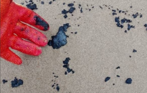Waste on the beach. Screenshot of a photo from Zhora Kavanosyan's Telegram channel, https://t.me/ecozhora/7838 Waste on the beach. Screenshot of a photo from Zhora Kavanosyan's Telegram channel, https://t.me/ecozhora/7838