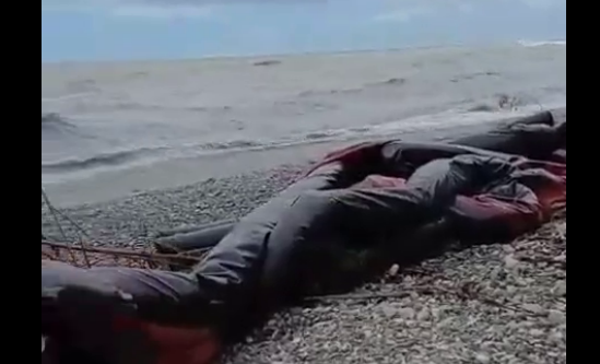 Oil booms on Primorsky Beach in Tuapse. Screenshot from the Telegram channel "My Tuapse" from May 31, 2026, https://t.me/my_tuapse/35688.