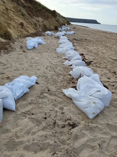 Photo of volunteers collecting palm oil on the beaches of the village of Volna - from the Central descent to the port of Taman. Photo: Headquarters "Dolphins" / Telegram channel Photo of volunteers collecting palm oil on the beaches of the village of Volna - from the Central descent to the port of Taman. Photo: Headquarters "Dolphins" / Telegram channel