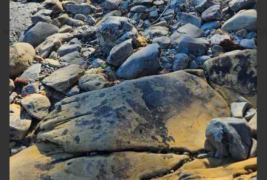 Pollution on rocks between Tuapse and Agoy. Screenshot from Evgeny Vitishko's Telegram channel, June 18, 2026, https://t.me/evitishko/1691. Pollution on rocks between Tuapse and Agoy. Screenshot from Evgeny Vitishko's Telegram channel, June 18, 2026, https://t.me/evitishko/1691.
