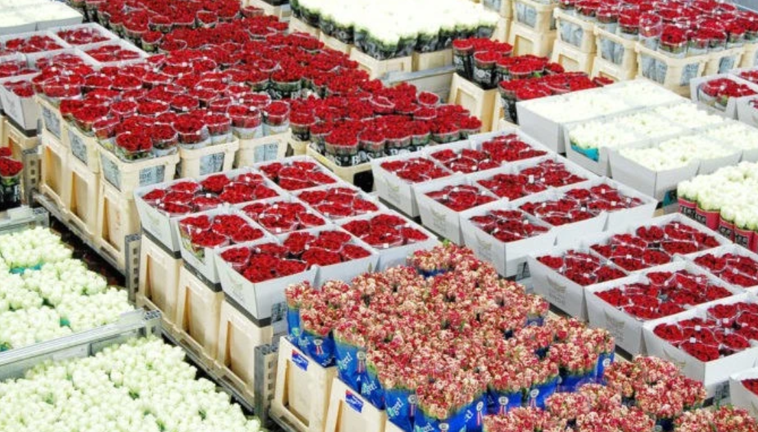 Flowers at a wholesale market. Screenshot from News.Am, June 22, 2026, https://news.am/ru/news/1045090