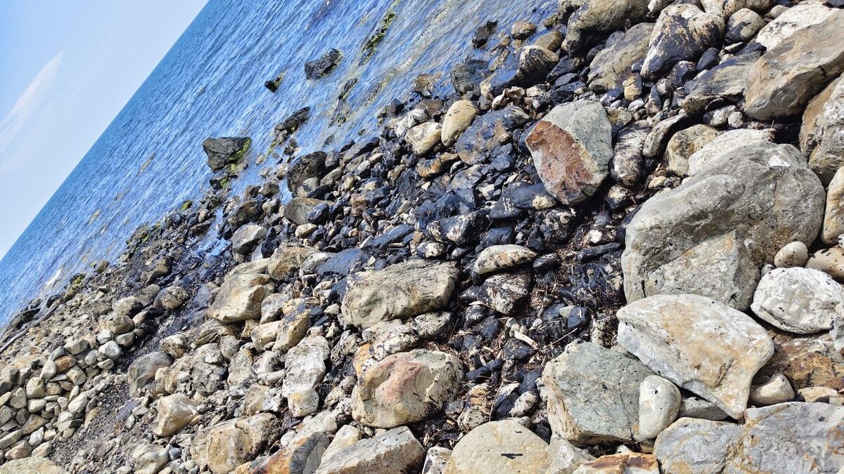 Fuel oil on the shore. Screenshot from the post: https://t.me/my_tuapse/36527?comment=984003