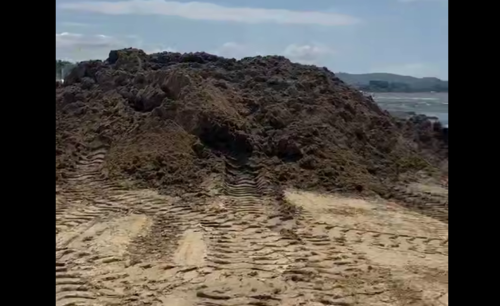 Situation at one of the beaches. Frame from the video from the Telegram channel of Yuri Ozarovsky from 03.07.26, https://t.me/AnapaOzz/1527446 Situation at one of the beaches. Frame from the video from the Telegram channel of Yuri Ozarovsky from 03.07.26, https://t.me/AnapaOzz/1527446