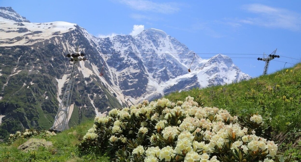 Resort "Elbrus". Photo: resort administration https://resort-elbrus.ru/news/84/novosti-13