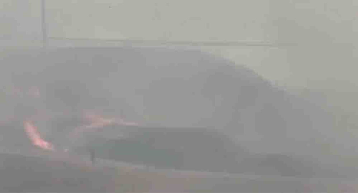 Burning wheat field in the Kaytag district of Dagestan. Frame from the video https://www.instagram.com/dagizvestiyaa/reel/DbgO3t8sMJ5 (the activities of Meta (owner of Facebook, Instagram, and WhatsApp) are banned in Russia)