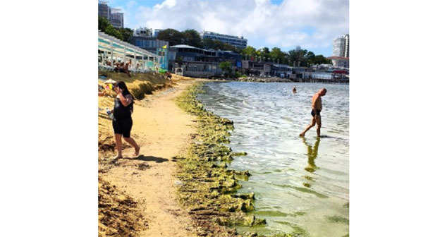Beach in Anapa. August 20, 2026. Photo: https://t.me/makovozovy/66614