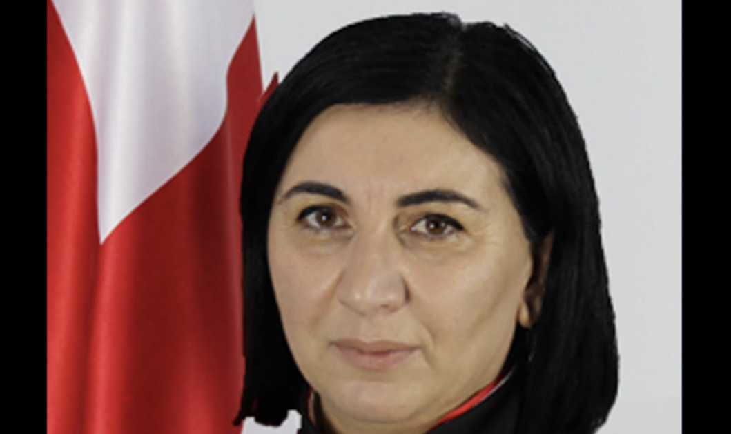 Judge Tsitsino Kikvadze. Screenshot from JamNews dated 24.09.26, https://jam-news.net/ru/грузия-судья-против-наказания-за-оско/ Judge Tsitsino Kikvadze. Screenshot from JamNews dated 24.09.26, https://jam-news.net/ru/грузия-судья-против-наказания-за-оско/