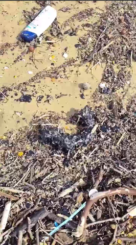 Separate fragments of fuel oil on Vityazevskaya Spit. Photo: Anapa | "Dolphins" headquarters / Telegram channel.